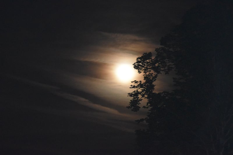 Moonlit Ceremony